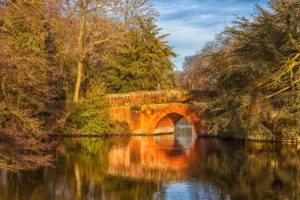 BridgeW9232