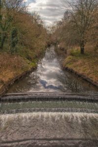 Wier9878Website